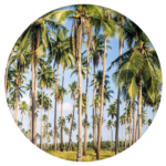 Hillsong Church Bali