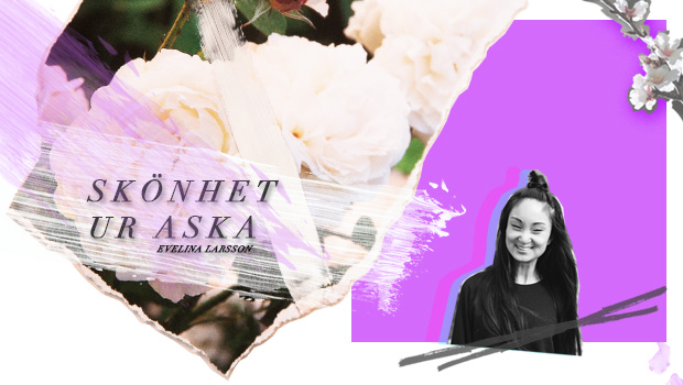 SKÖNHET UR ASKA