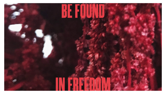 Be Found in Freedom