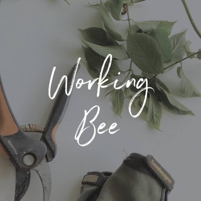 Working Bee