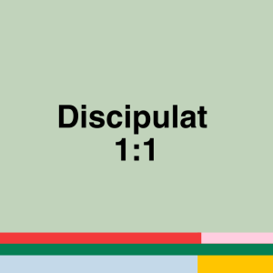 Discipleship 1:1