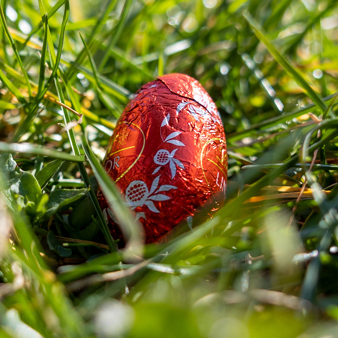 FAMILY HANGOUT WITH EASTER EGG HUNT Germany