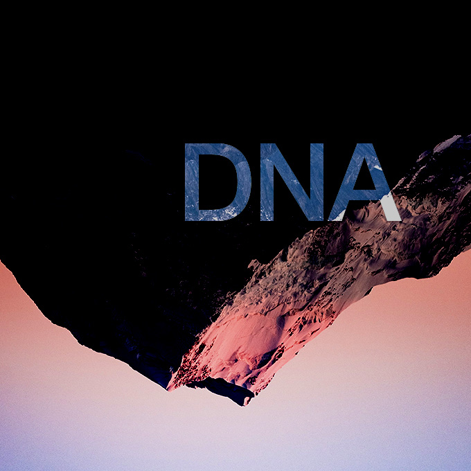 Noite de DNA