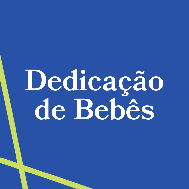 8 de novembro