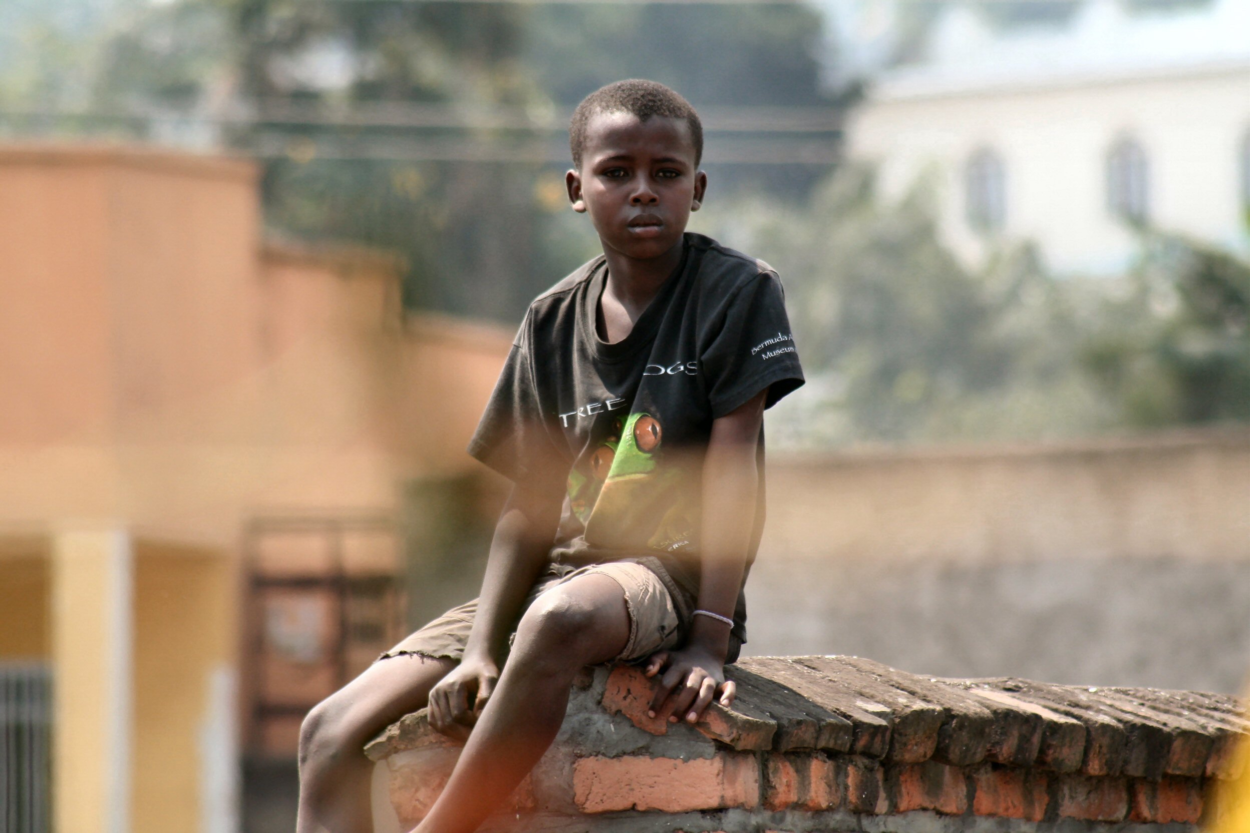 Other Social Impact