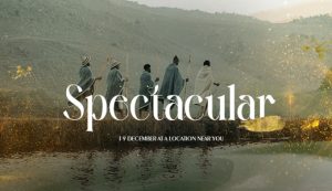 Christmas Spectacular