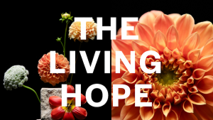 JESUS: THE LIVING HOPE
